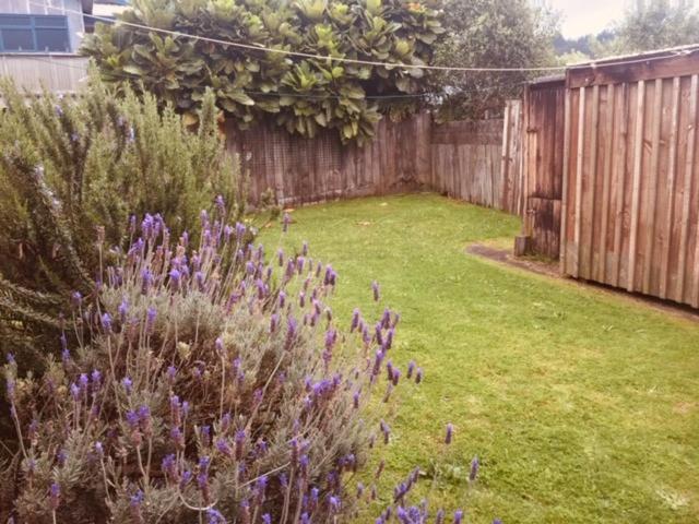 Mollies Place - Waihi Beach Holiday Unit Zewnętrze zdjęcie